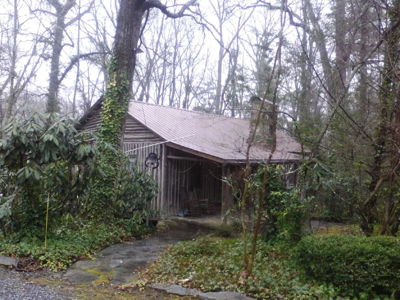 Weathered metal roof on an old board sided cabin in the woods in Magnolia